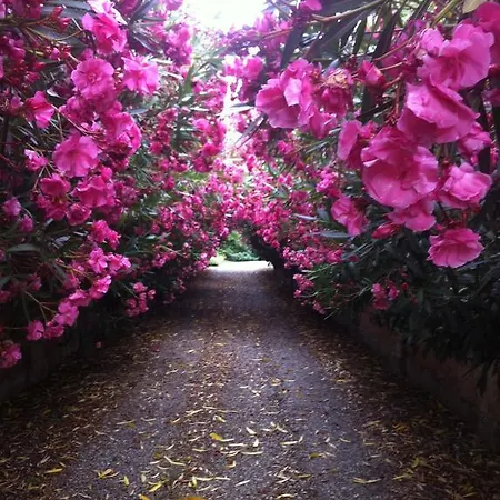 Terra Jovia Wine Bed & Breakfast Gioia Del Colle