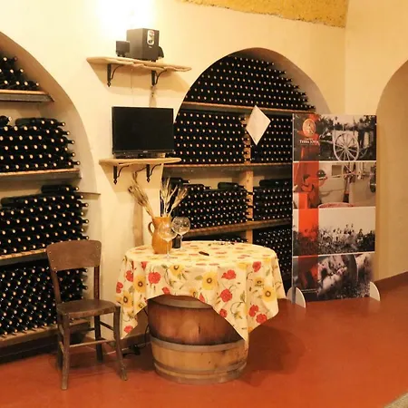 Terra Jovia Wine * Gioia Del Colle
