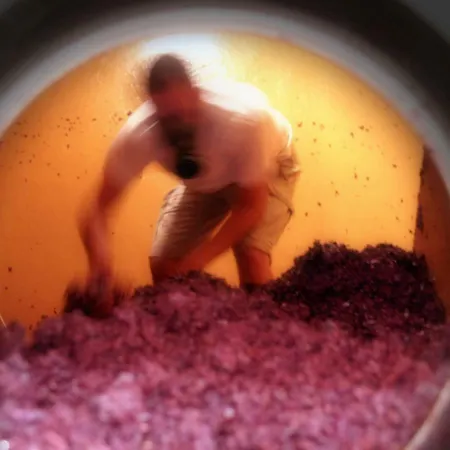 Terra Jovia Wine * Gioia Del Colle