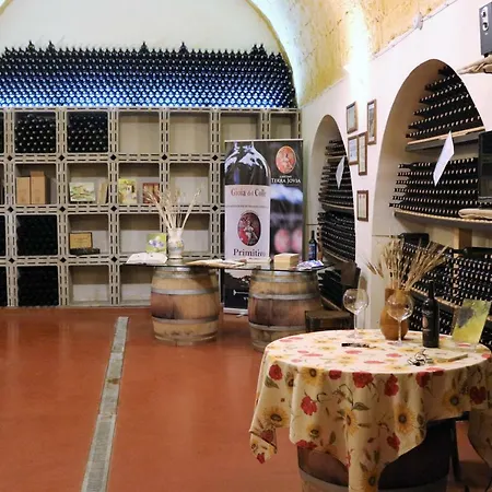 Terra Jovia Wine * Gioia Del Colle