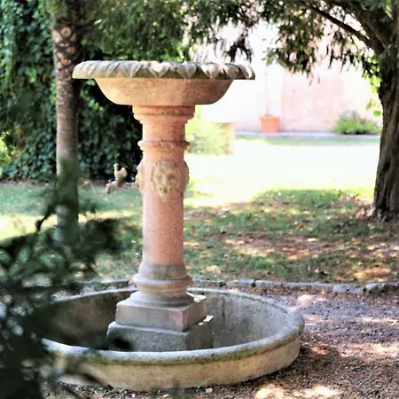 Terra Jovia Wine Gioia Del Colle