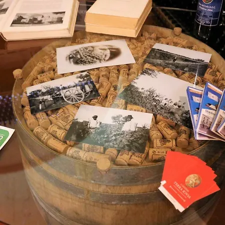 Terra Jovia Wine Bed & Breakfast Gioia Del Colle