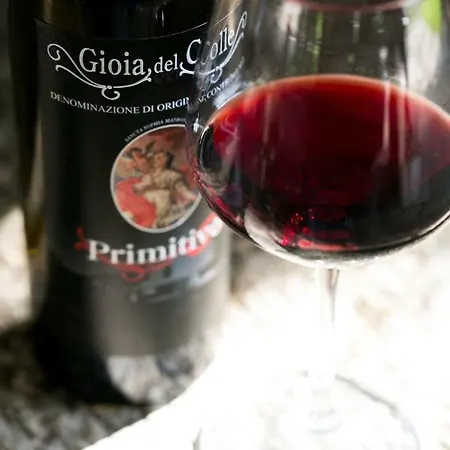 Terra Jovia Wine