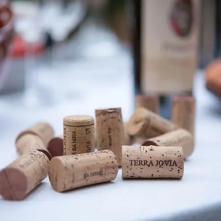 Terra Jovia Wine Gioia Del Colle